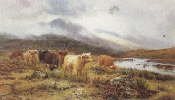 Louis bosworth hurt Highland Cattle on the Banks of a River (mk37) China oil painting art